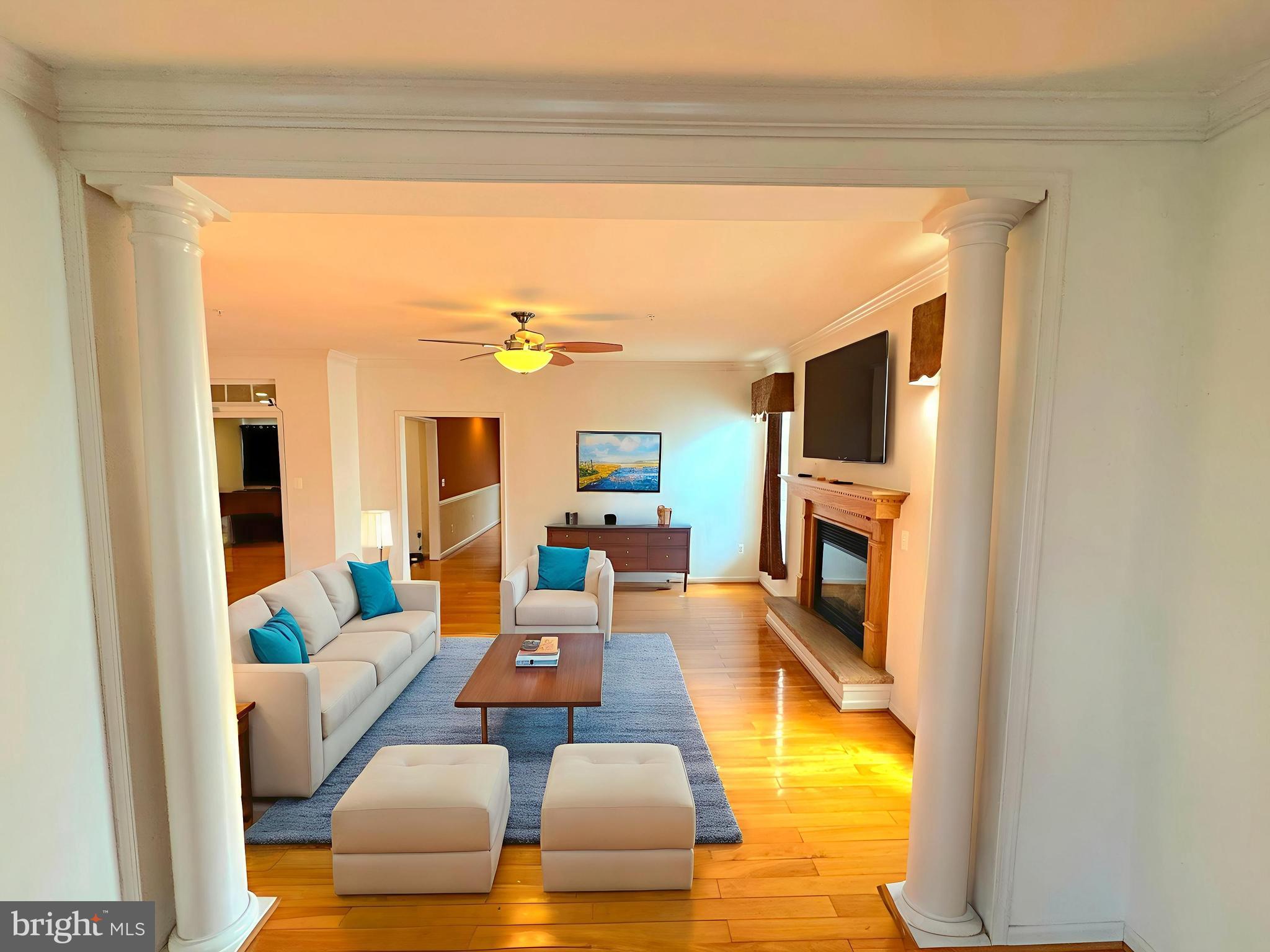 THE VILLAGES AT WELLINGTON - Residential