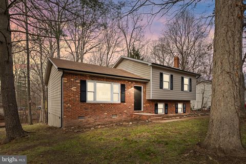 341 ALBANY STREET FREDERICKSBURG VA 22407