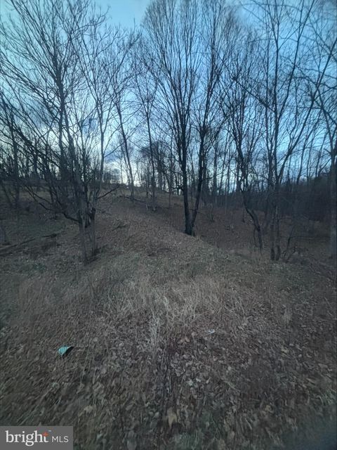 Vacant Land For Sale - Lost Run<br/> Hampshire County, LEVELS, WV 25431