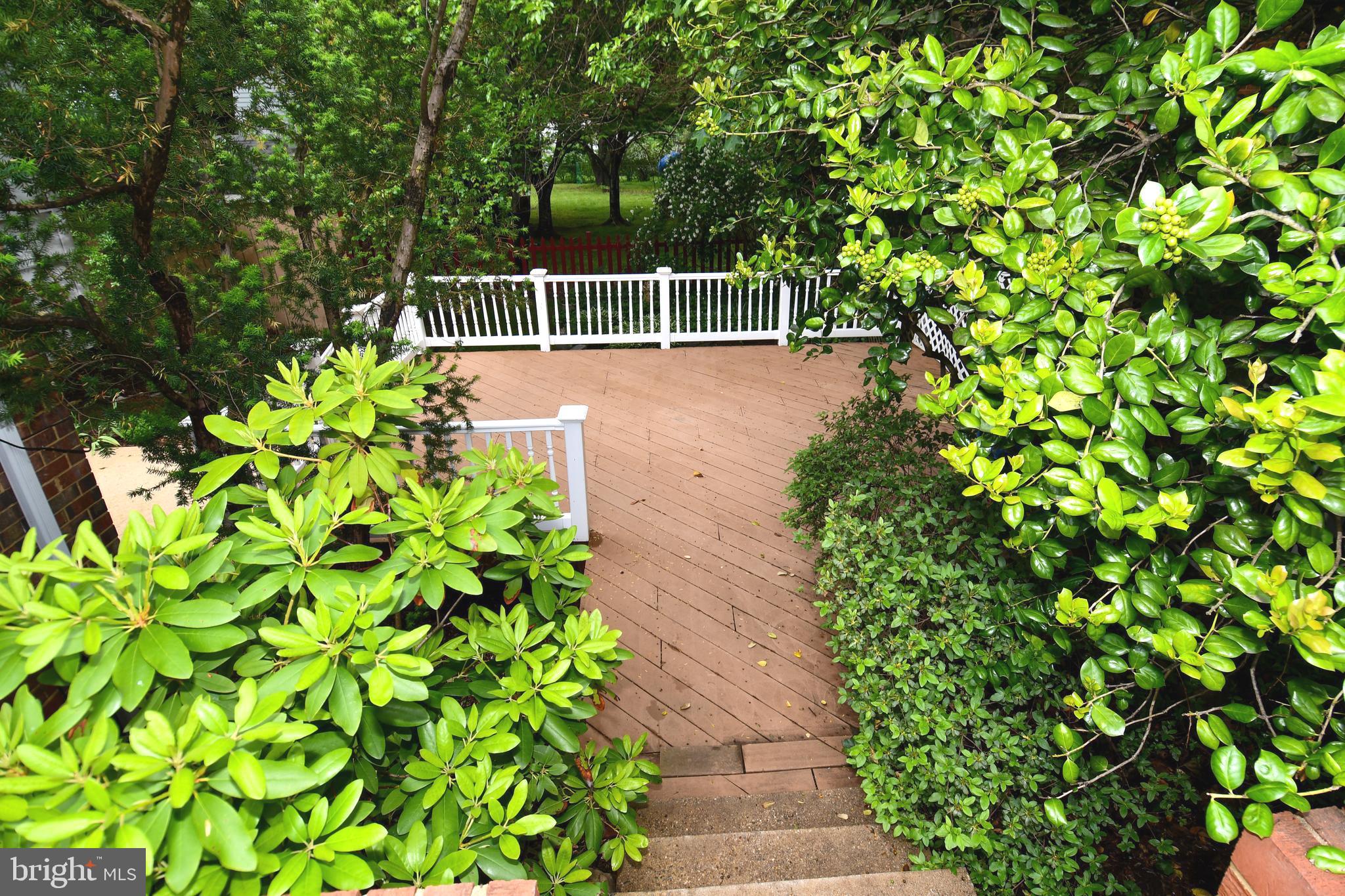 MONTICELLO WOODS - Residential