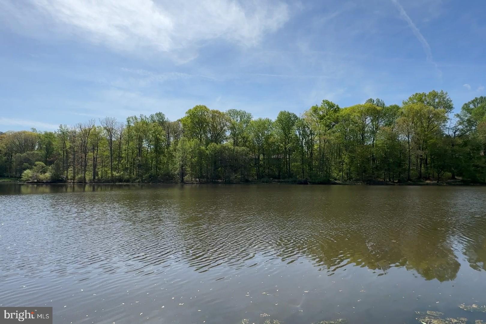 LAKE BRADDOCK - Residential