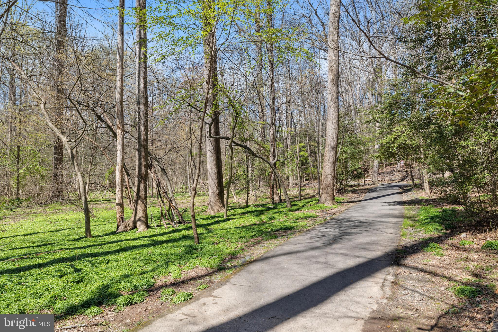 BRISTOL HOUSE - Residential