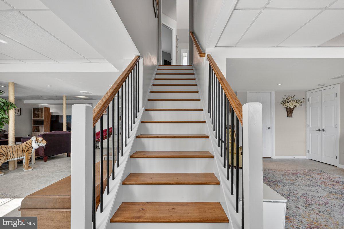 WOODS EDGE - Residential