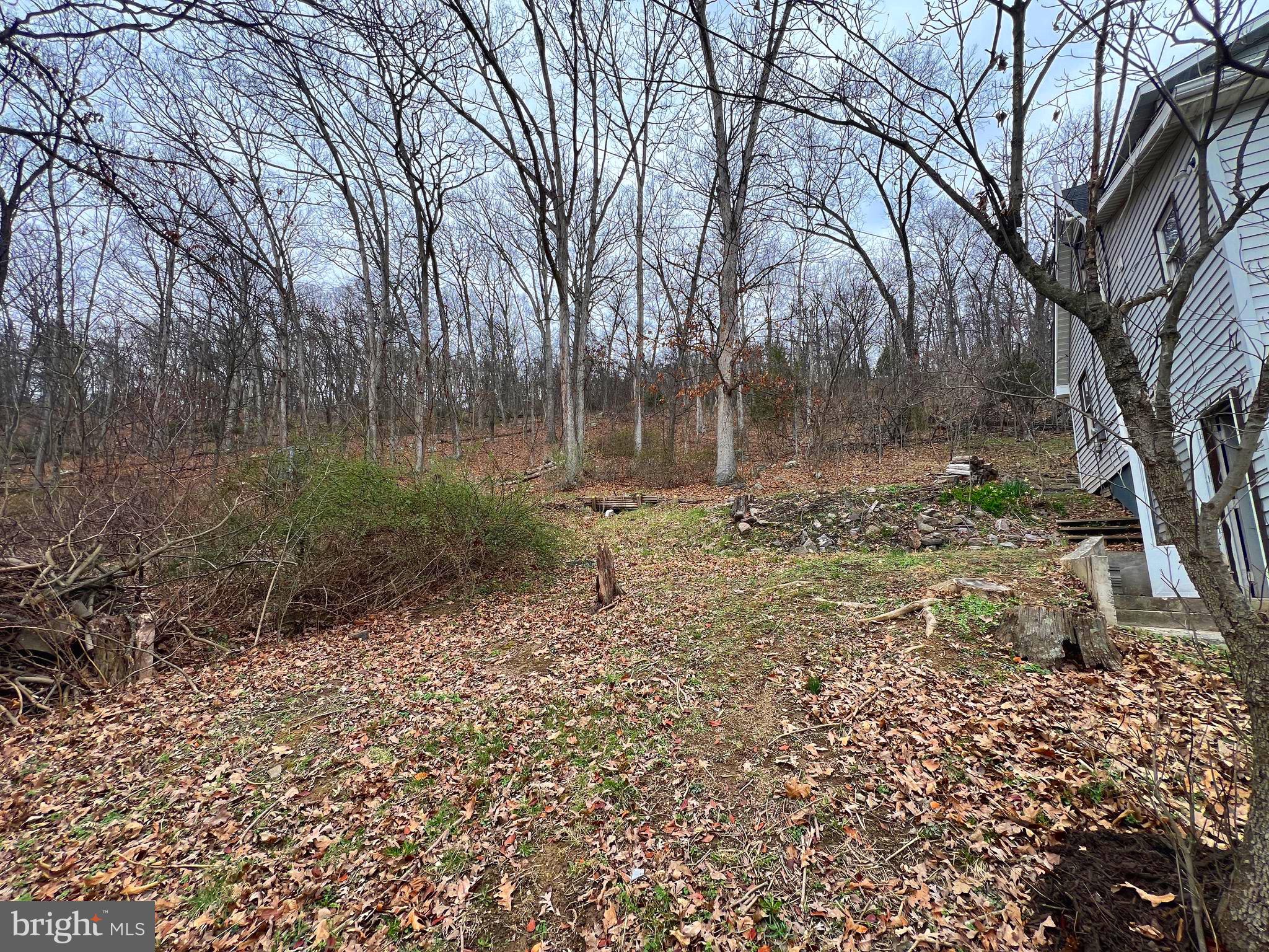 SOUTH POTOMAC FOREST - Residential