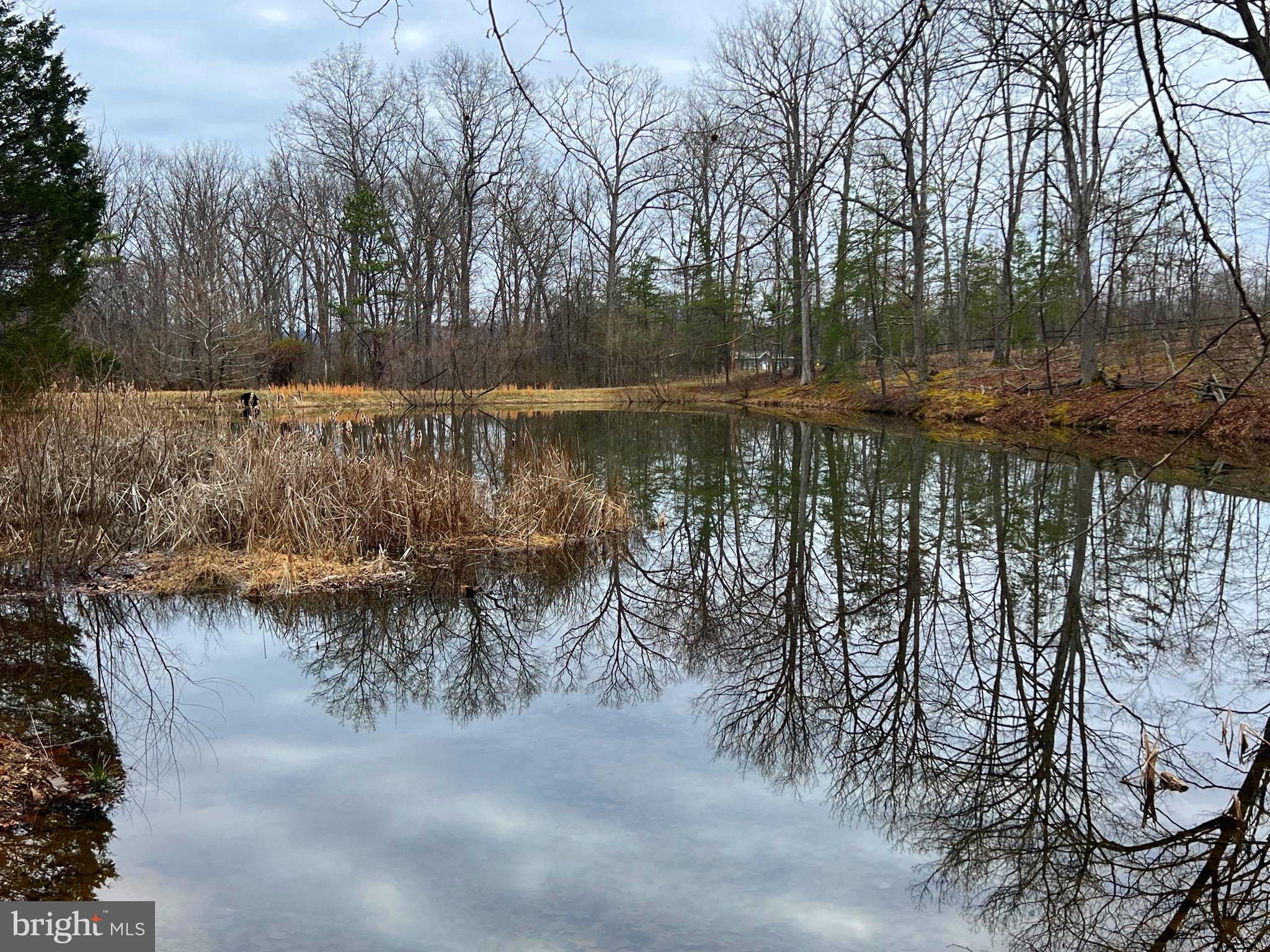 SOUTH POTOMAC FOREST - Residential