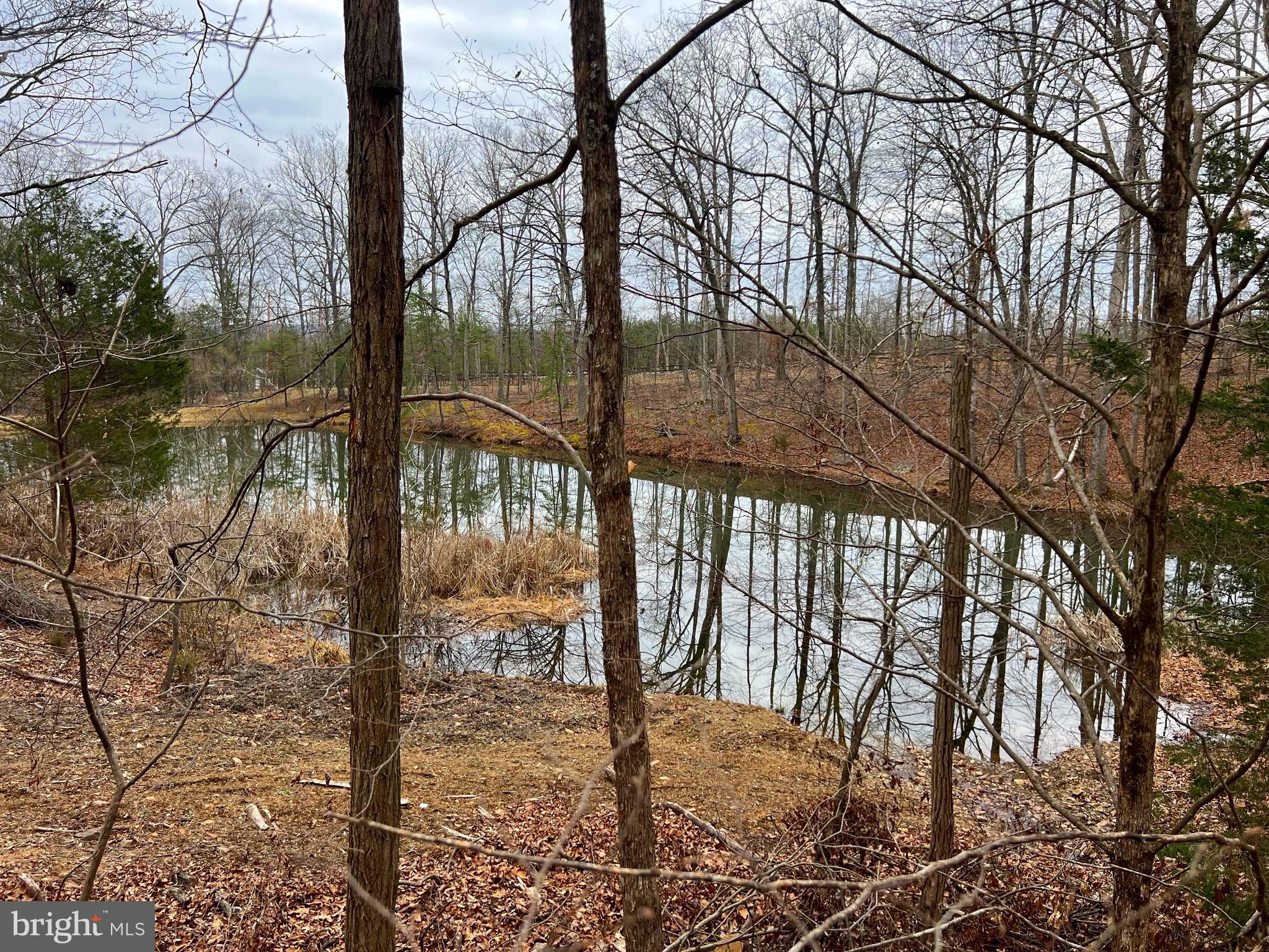 SOUTH POTOMAC FOREST - Residential