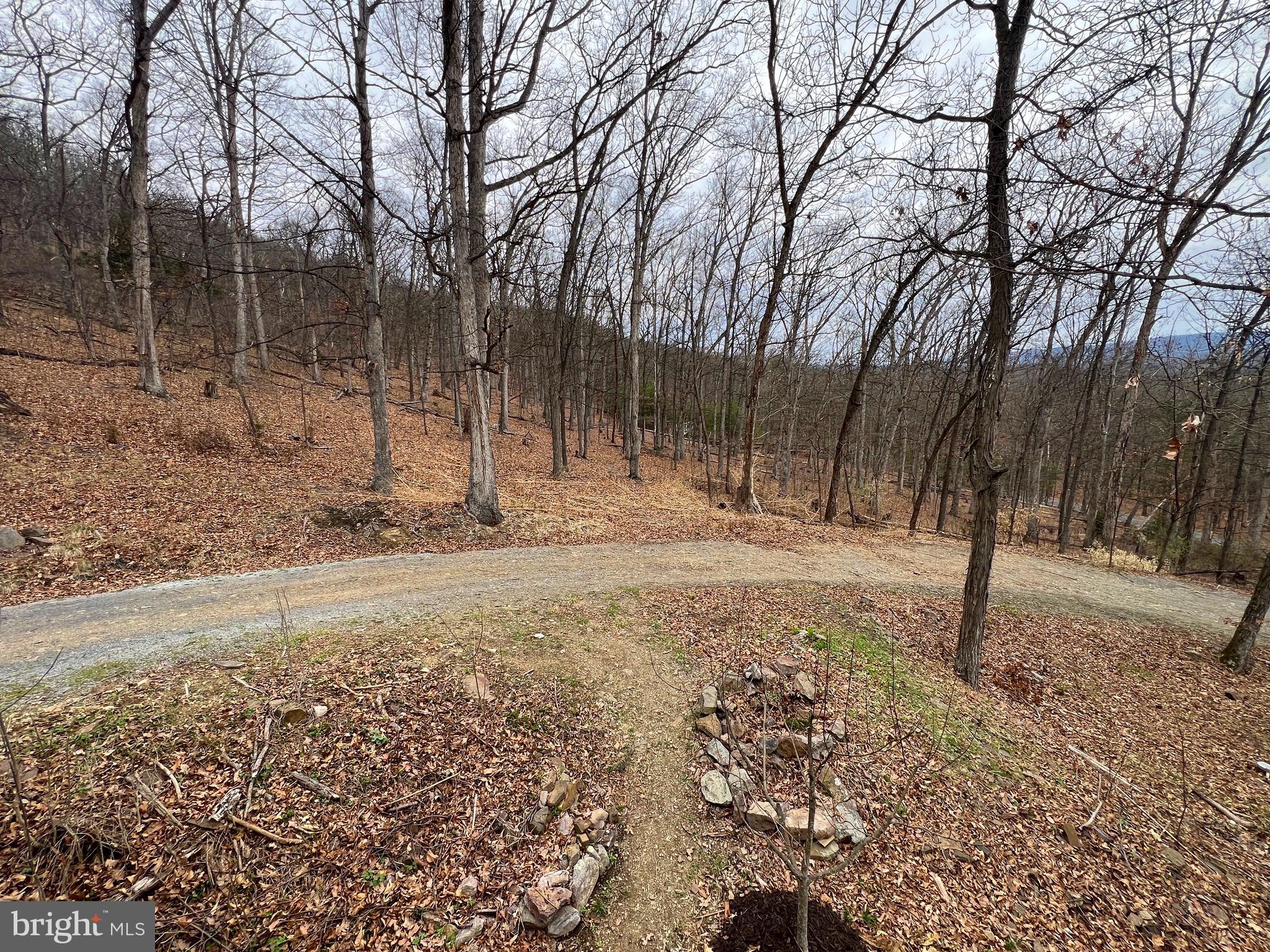 SOUTH POTOMAC FOREST - Residential