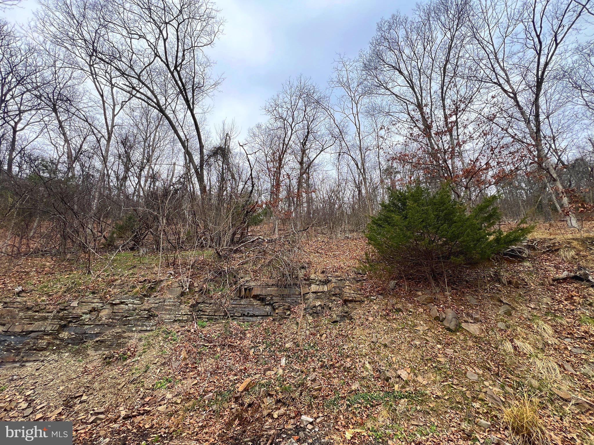 SOUTH POTOMAC FOREST - Residential