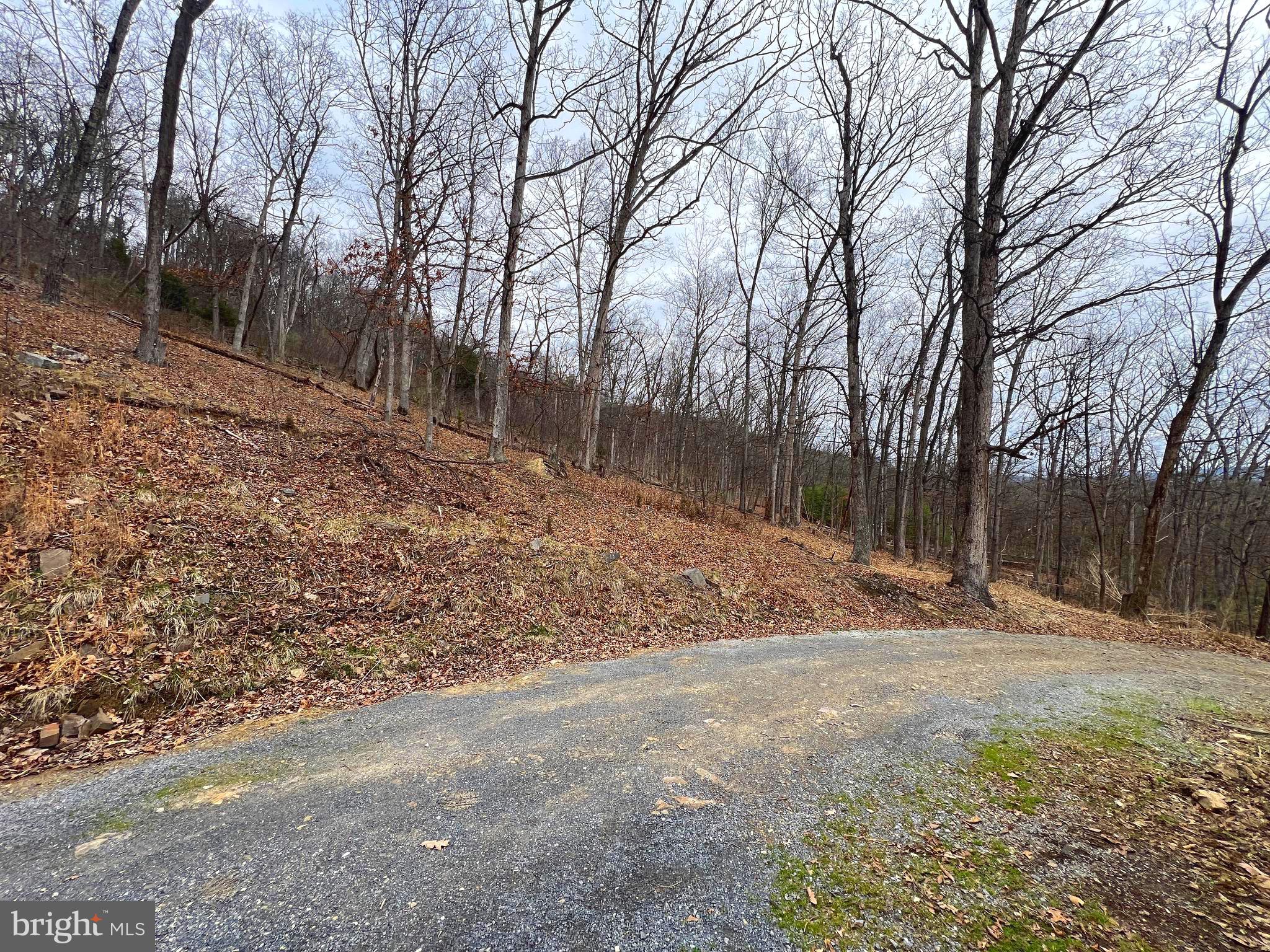 SOUTH POTOMAC FOREST - Residential