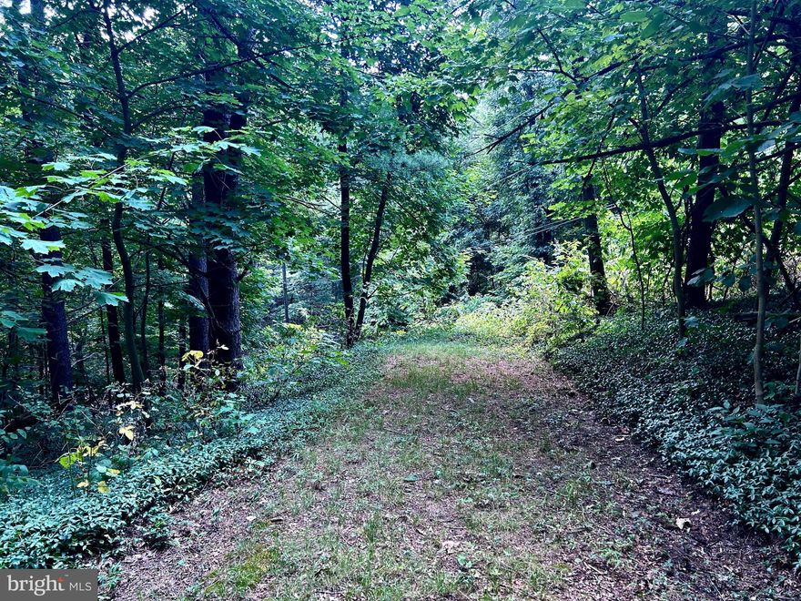 UNRESTRICTED FUTURE PARADISE.  This property has been owned by the same family for over 100 years.  Tiny cabin, most often used as a hunter's hangout, sits perfectly among the tall trees and offers privacy plus to those who wish for a peaceful place for recreation or hunting.  Land is gently rolling and borders the railroad tracks.  Although off the beaten path, you're still only about 10 minutes from the center of Hedgesville.  There are a few outbuildings on the property as well.  Owner is conveying the contents of the cabin to whomever purchases this property.  Although no utilities are hooked up to this property, owner says there's an old well on the property (not functional) and an electric pole is nearby, so that shouldn't be too big of an issue to get electric. Property was perked.  Owner has a right of way to access this property.  Come take a look at it . . . you might be pleasantly surprised what you will find.  Home does need rehabbing, but if you're so intrepid, you can always build or place a mobile home here as well.
