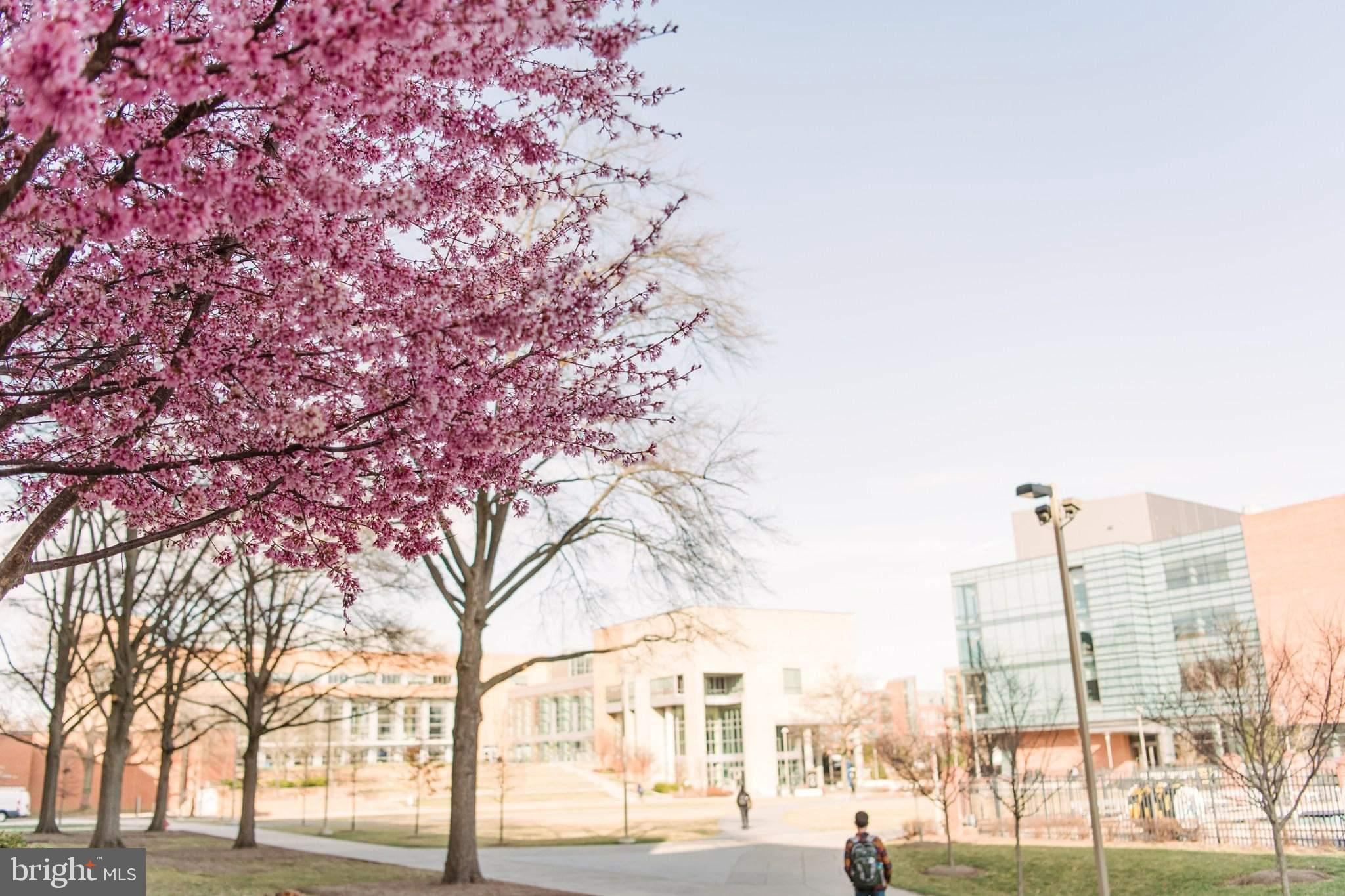 GRAHAM PLACE - Residential
