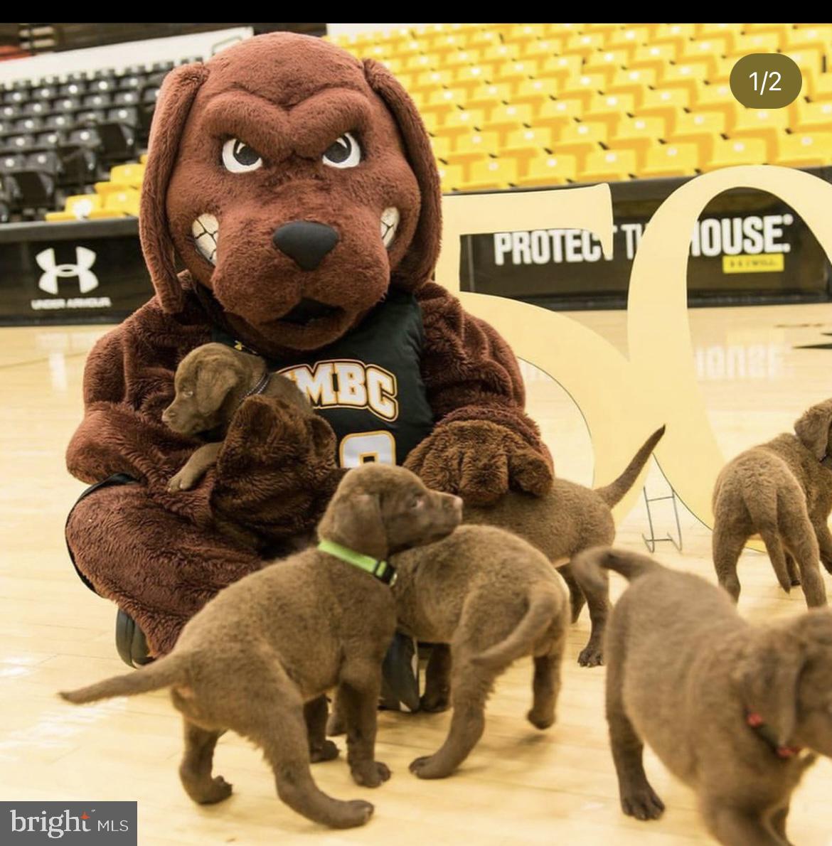 GRAHAM PLACE - Residential