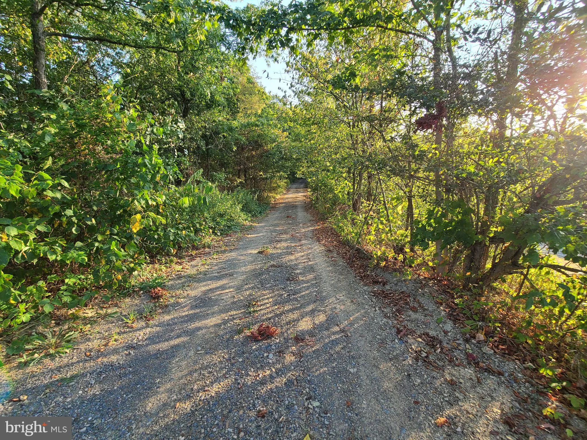 Old Furnace Rd, Ridgeley, WV 26753