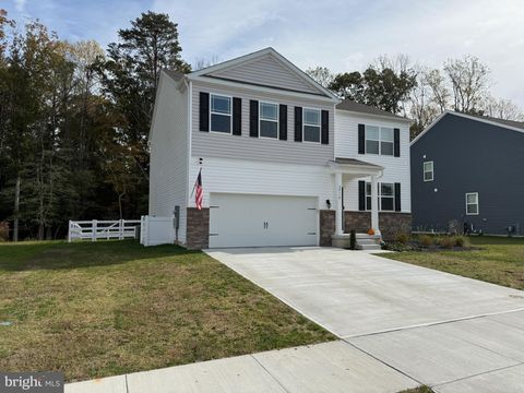 24119 HAMMERHEAD DRIVE MILLSBORO DE 19966