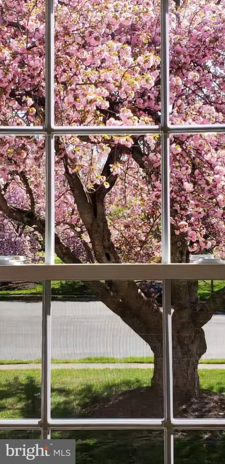 HAMPTON COURT - Residential