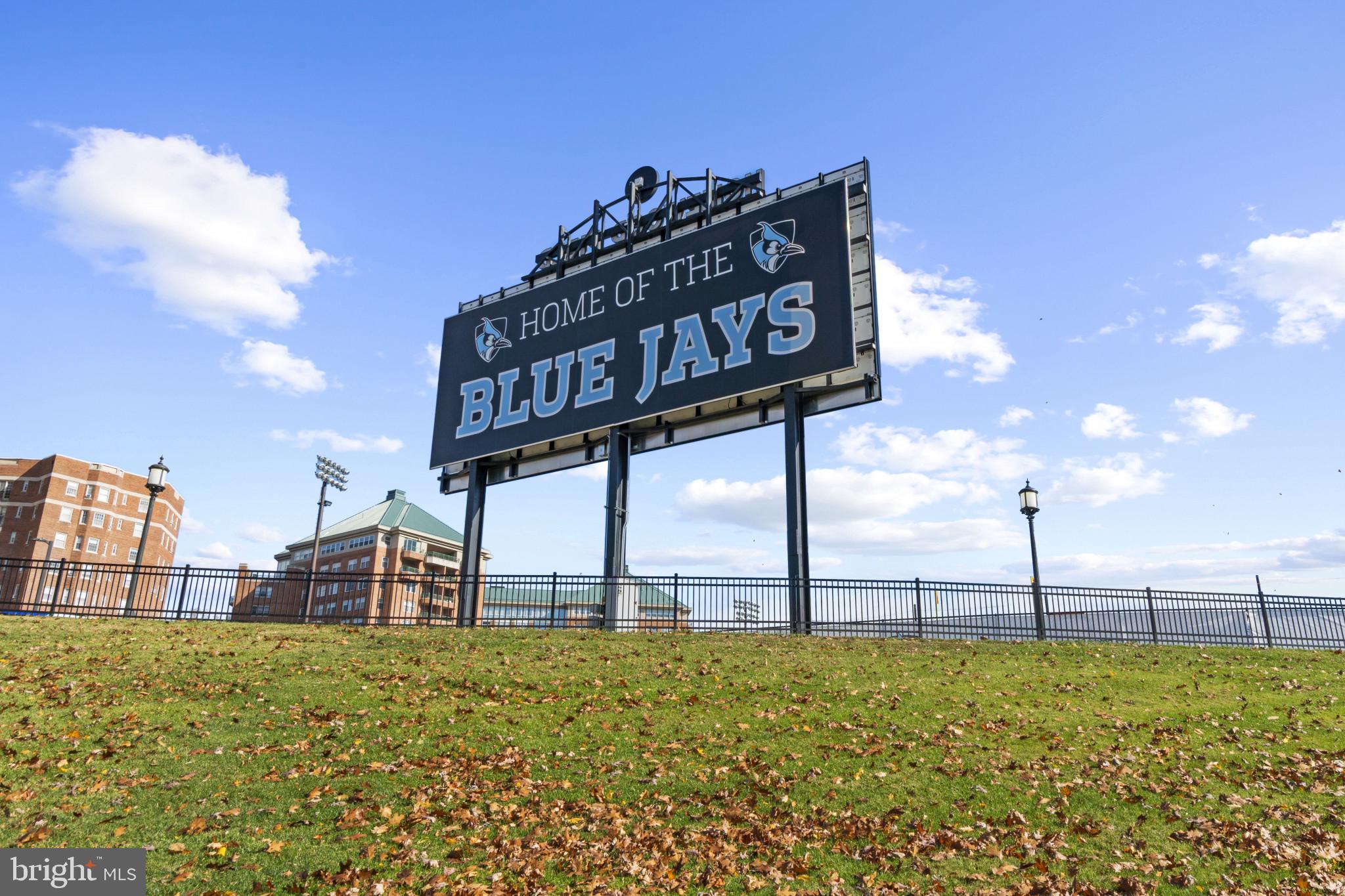 HAMPDEN HISTORIC DISTRICT - Residential