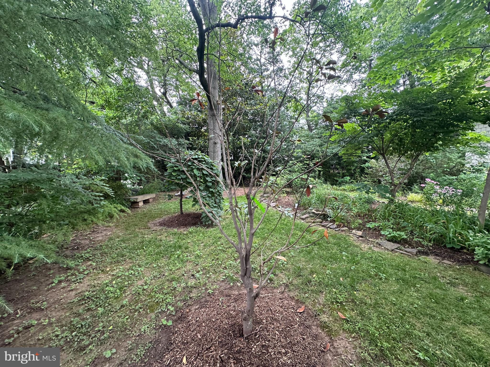 PARKHURST - Residential