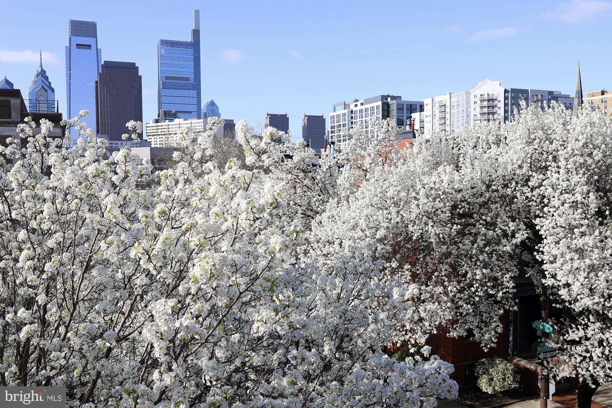 FAIRMOUNT - Residential