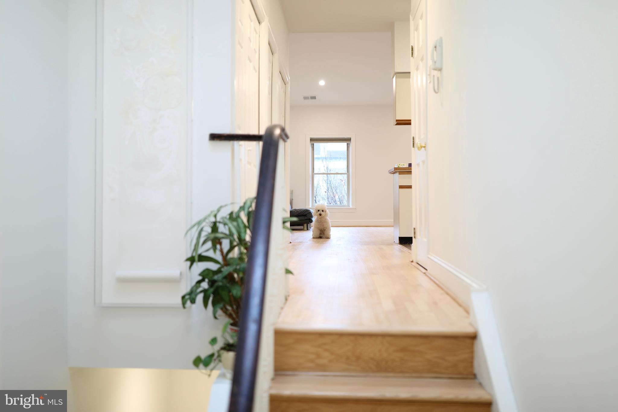 FAIRMOUNT - Residential