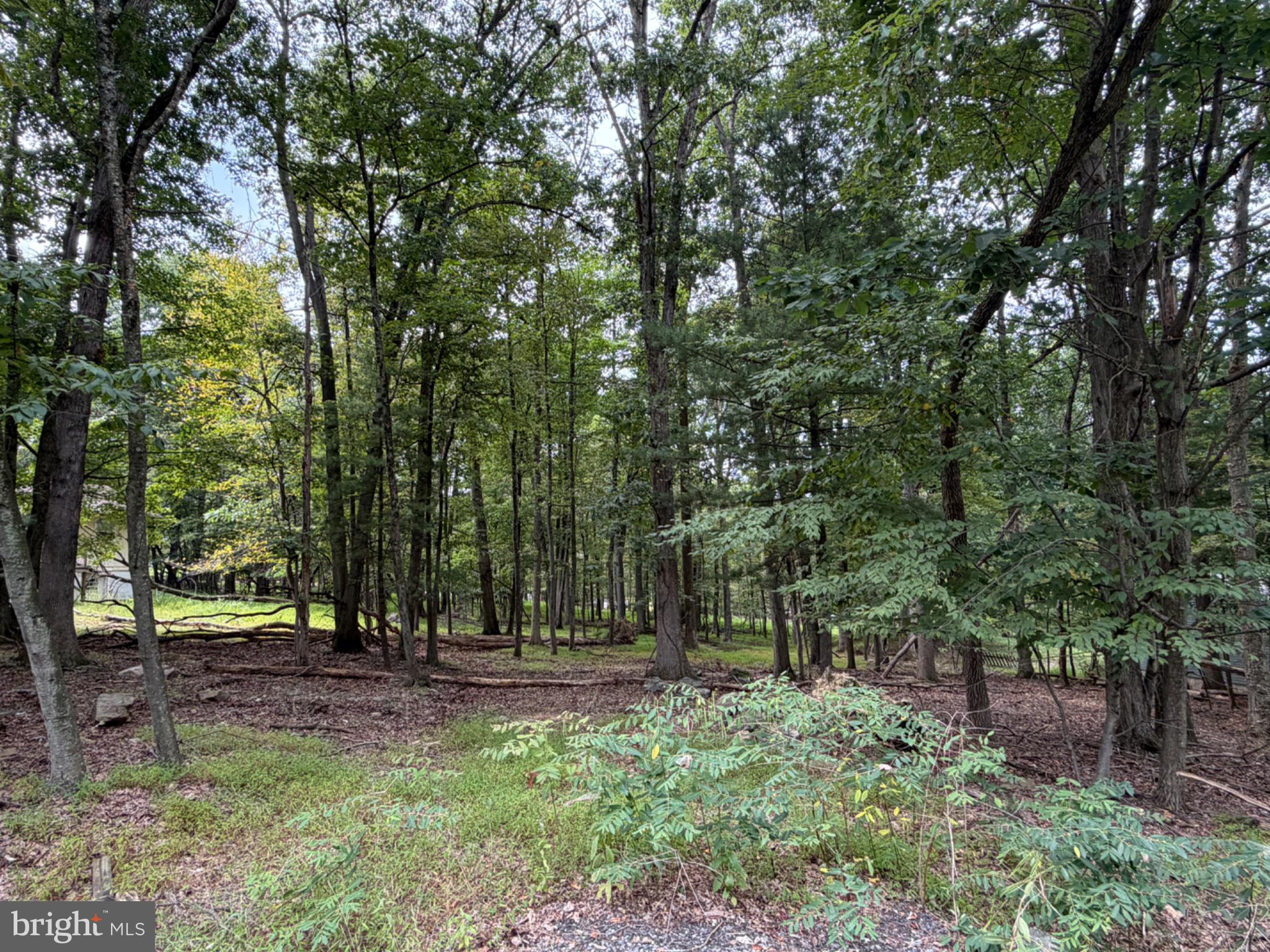 390 BLACKHAWK DRIVE