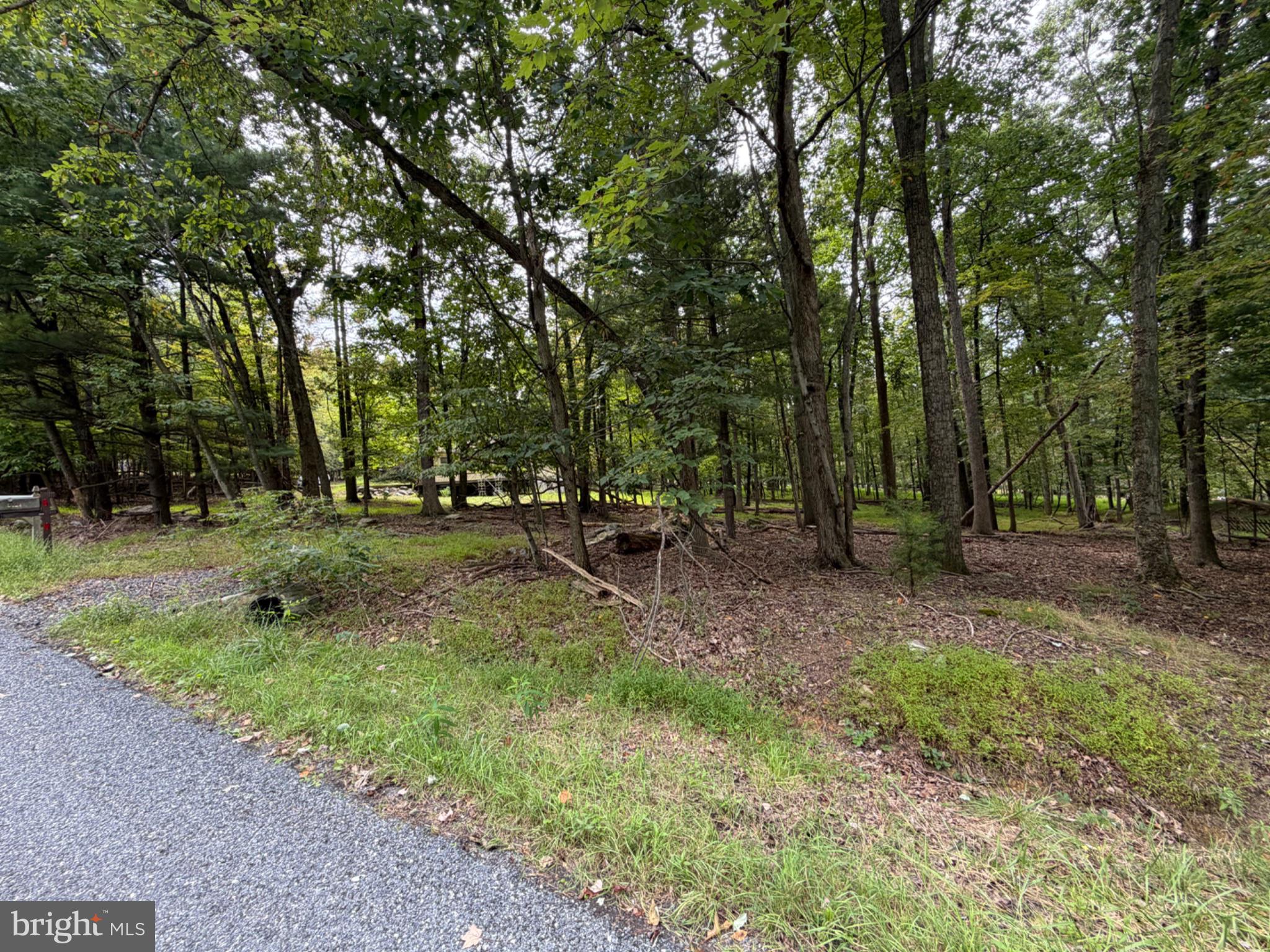 390 BLACKHAWK DRIVE