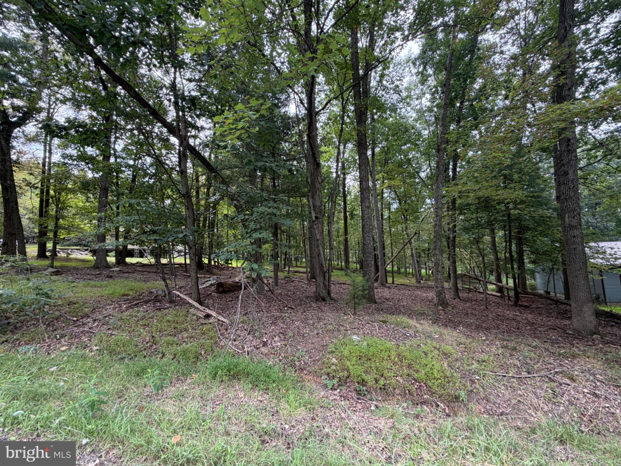 390 BLACKHAWK DRIVE