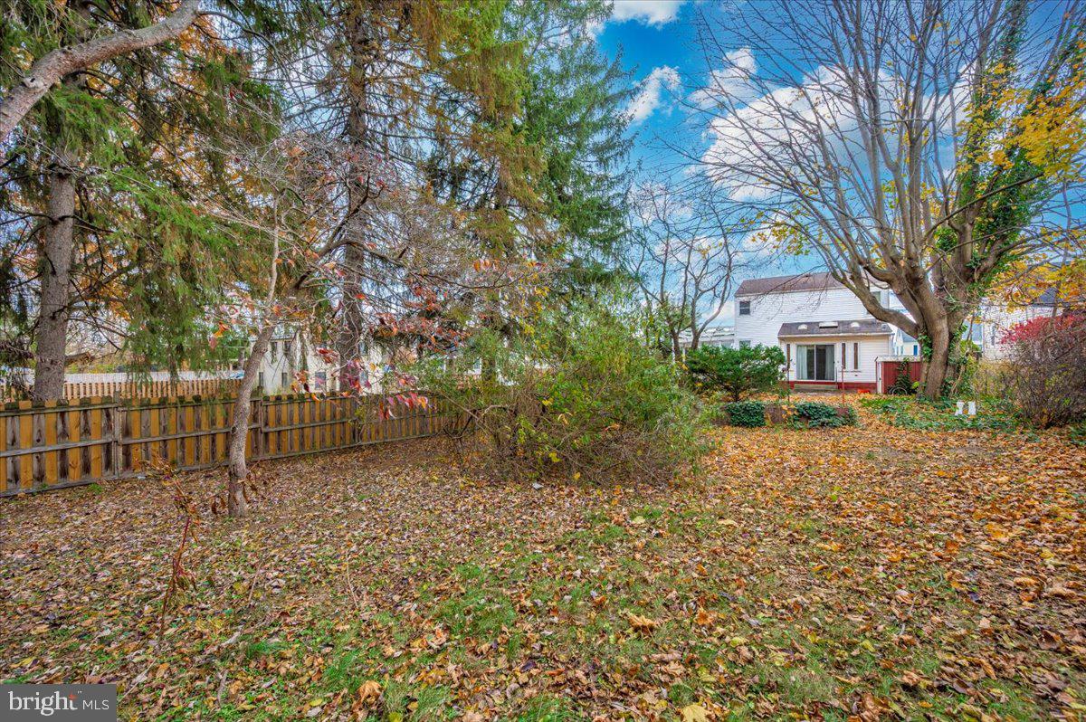 239 DEVONSHIRE ROAD NE