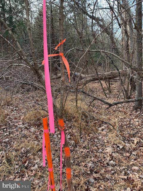 NONE AVAILABLE - Land