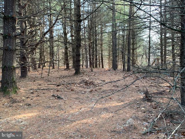 NONE AVAILABLE - Land