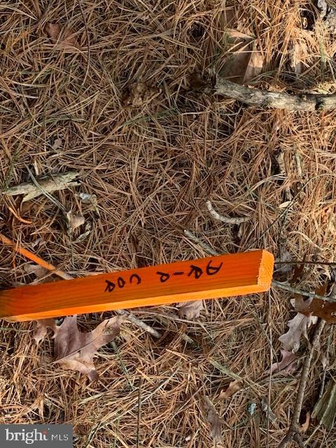 NONE AVAILABLE - Land