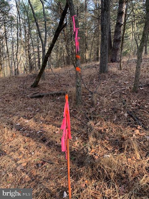 NONE AVAILABLE - Land