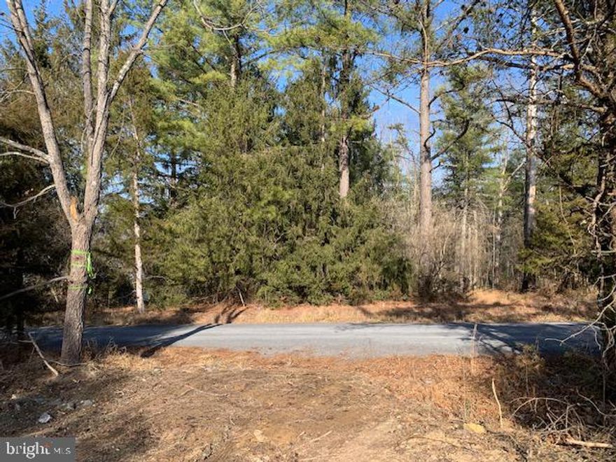Come see this awesome all wooded 10 acre lot for sale near Bryce Resort! NO HOA! NO RESTRICTIONS! Approved for a 4 bedroom alternative septic drip system in 2025! NEW SURVEY in 2025! This lot is a combination of level and rolling topography with many nice level building locations for a new home. Great mix of hardwood and Pine trees! Loaded with game and fresh Buck rubs everywhere! Easy year round access on state maintained roads and paved from Rt. 42 to property entrance with 235 feet of hardtop road frontage on Supinlick Ridge! All property corners are freshly marked! With some clearing there is potential for great mountain views to the West! This would be a great lot to build your dream home or hold for an investment and Hunt, Camp and Hike! List price is almost 10K below 2026 Tax assessment! Less than 15 minutes to Bryce, 15 minutes to Woodstock or Mount Jackson and 30 minutes to Harrisonburg! Come take a walk and preview this land today! You will be glad you did!