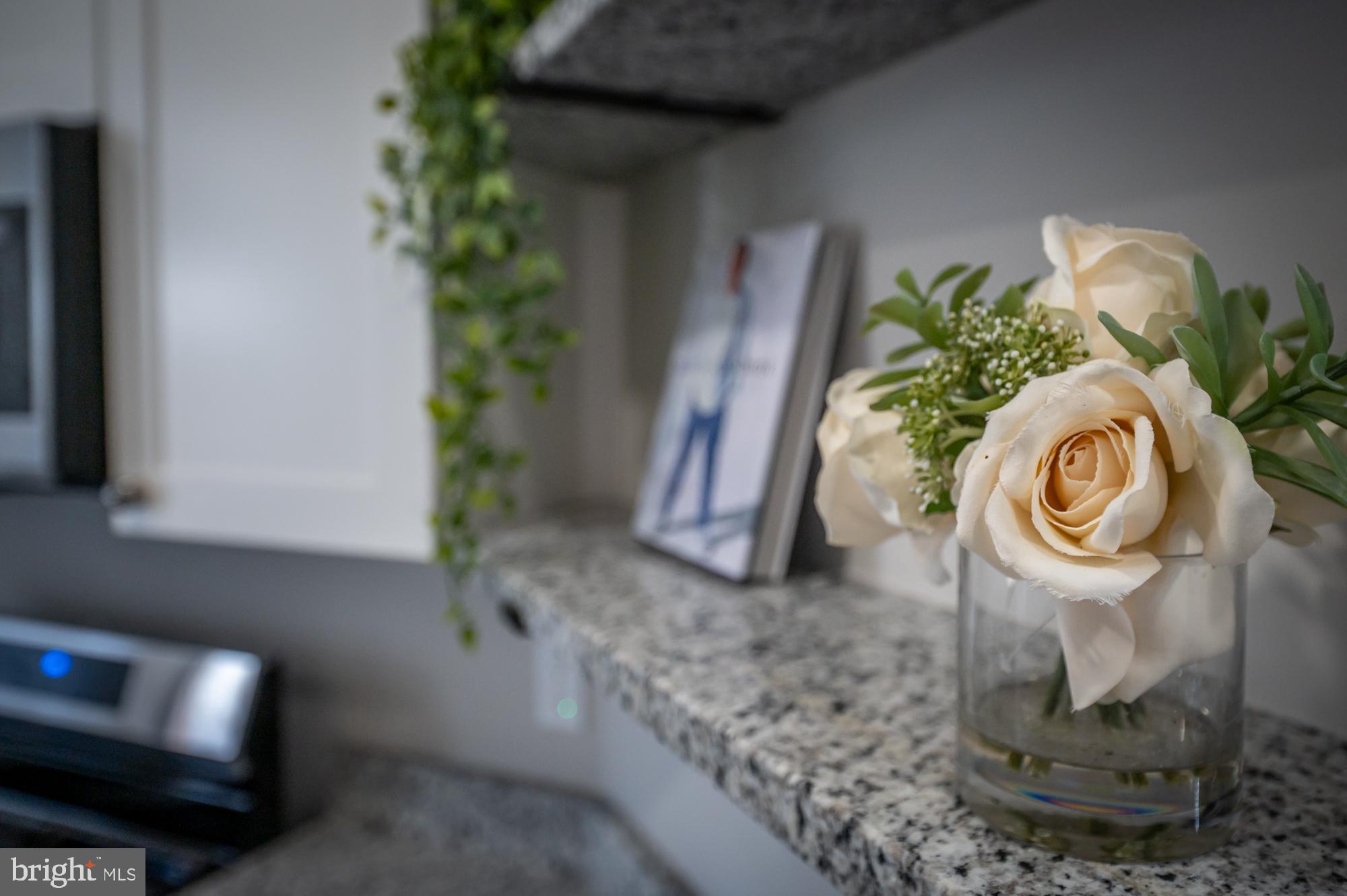 REMINGTON HISTORIC DISTRICT - Residential