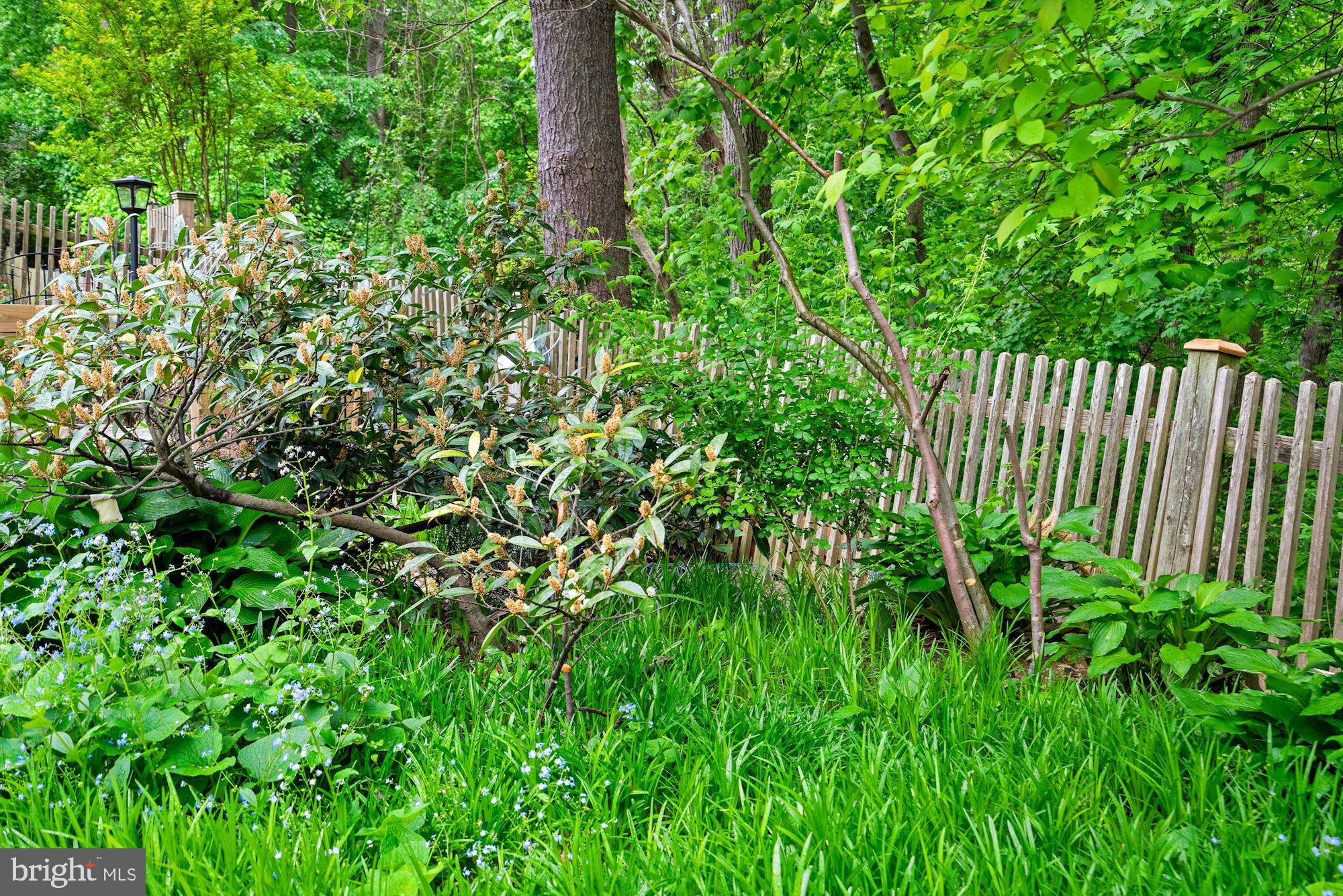 FARMINGTON - Residential