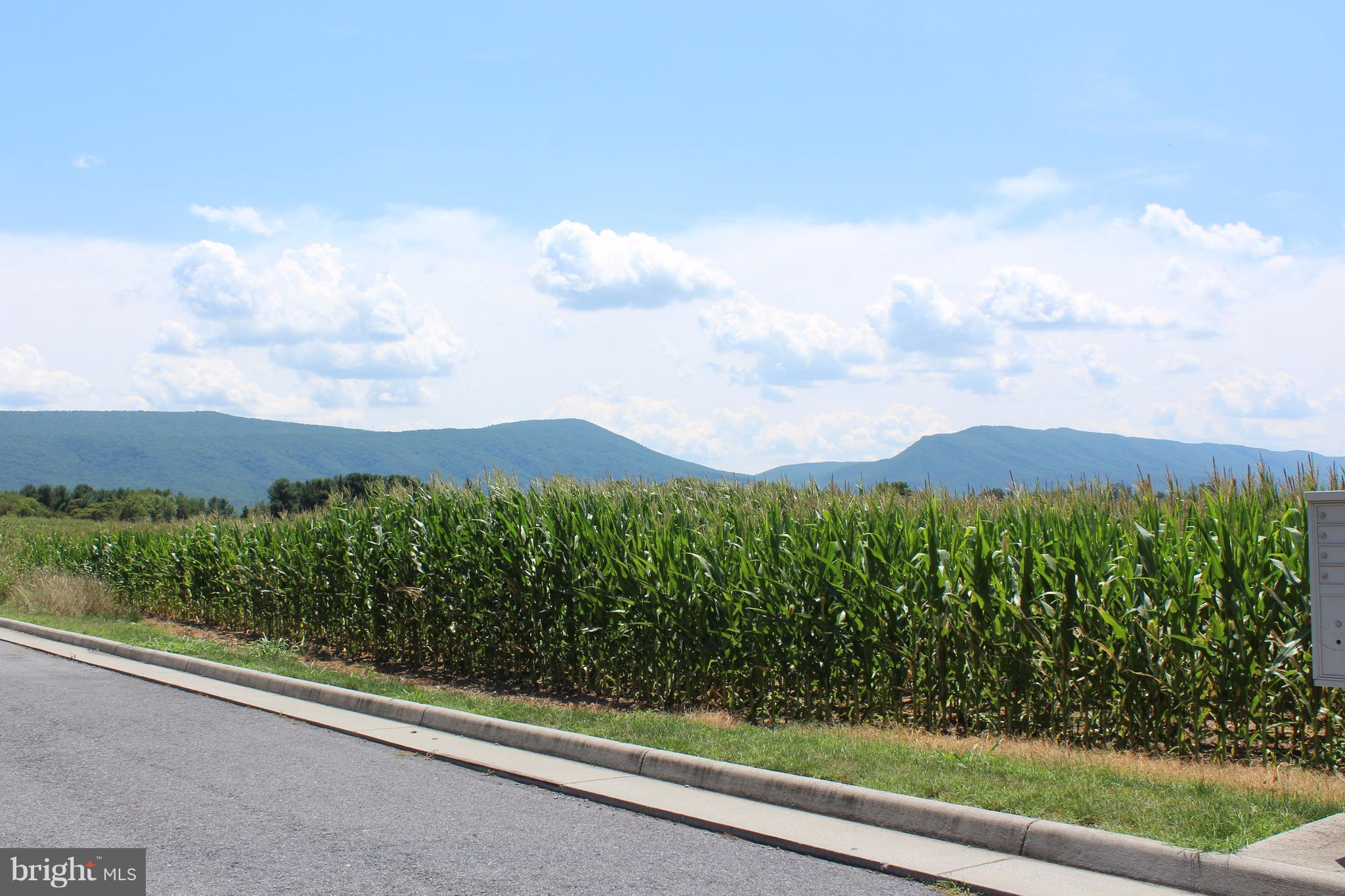 PARKSIDE VILLAGE - Residential