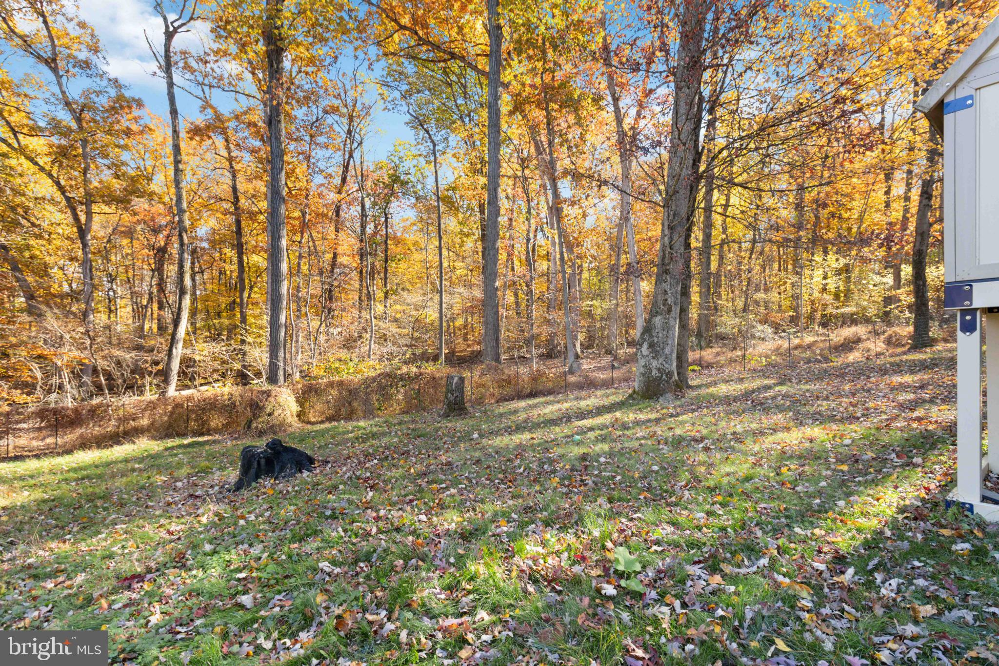 PALMYRA - Residential