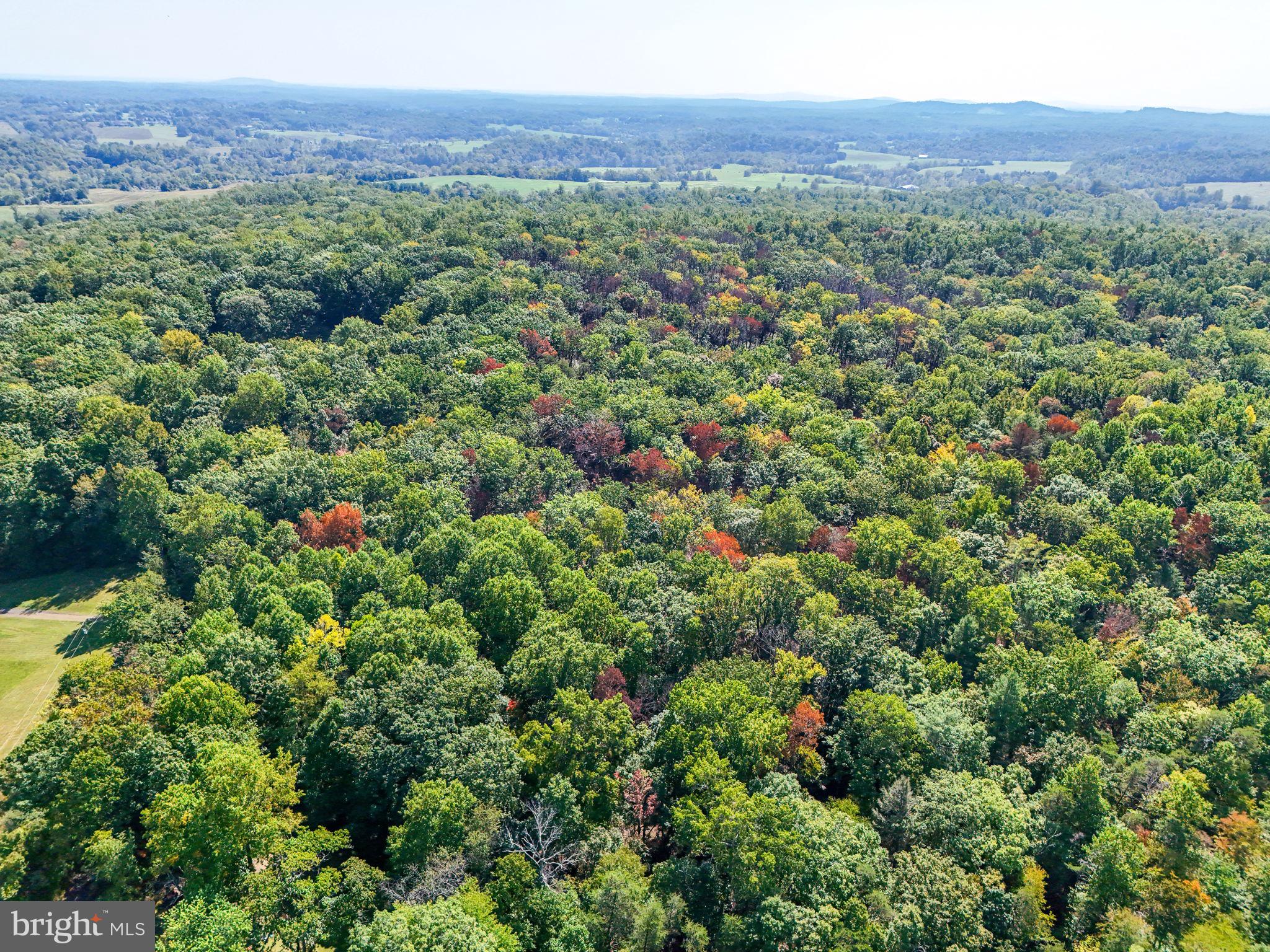 Lot B OBANNONS MILL RD