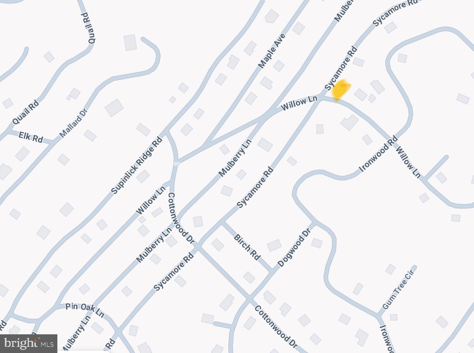 Main image without alt text