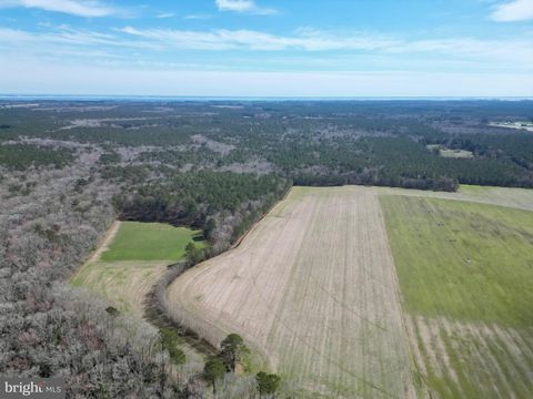 Vacant Land For Sale - Blake Road<br/> SNOW HILL, MD 21863