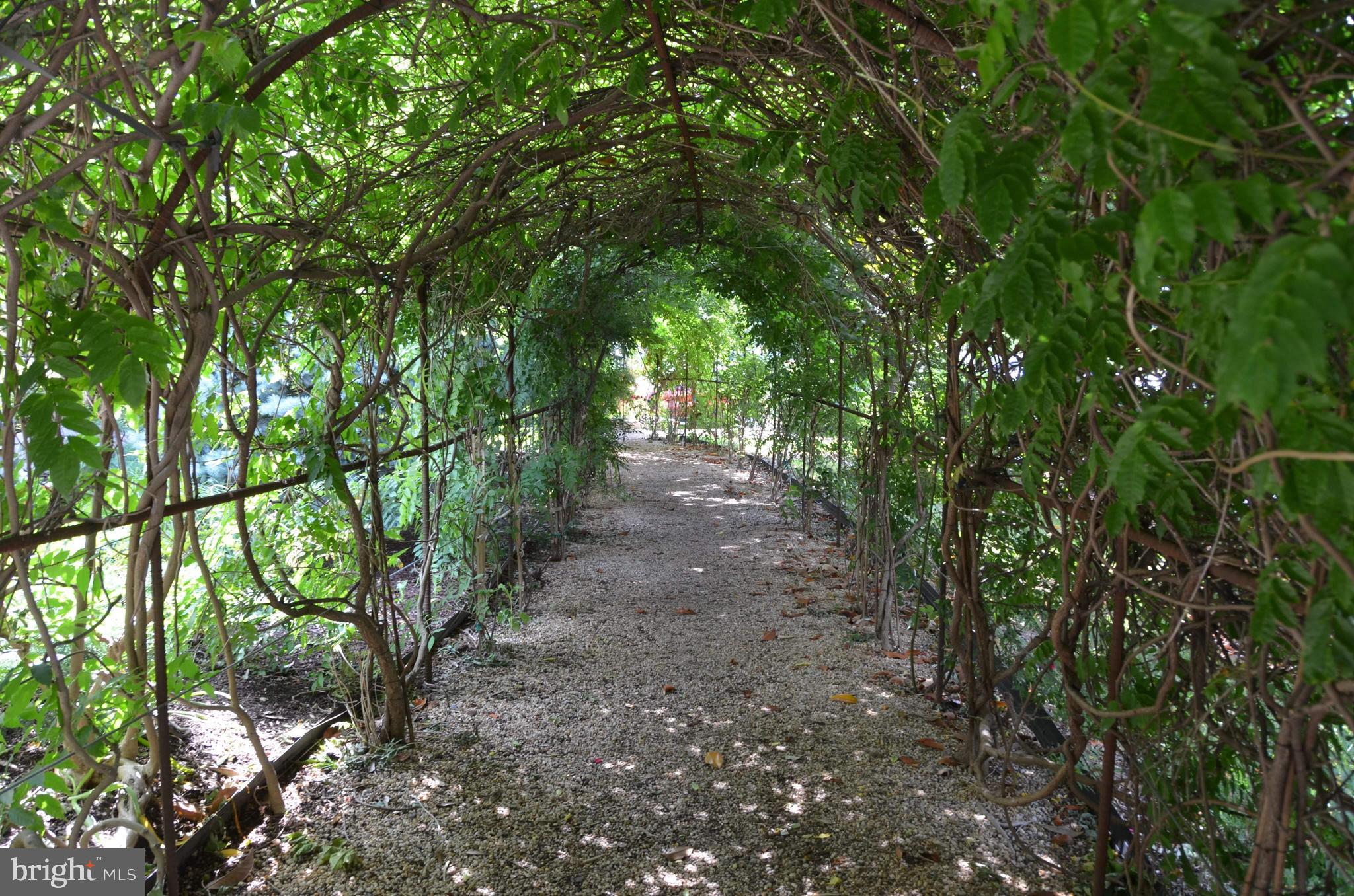 ROTONDA - Residential