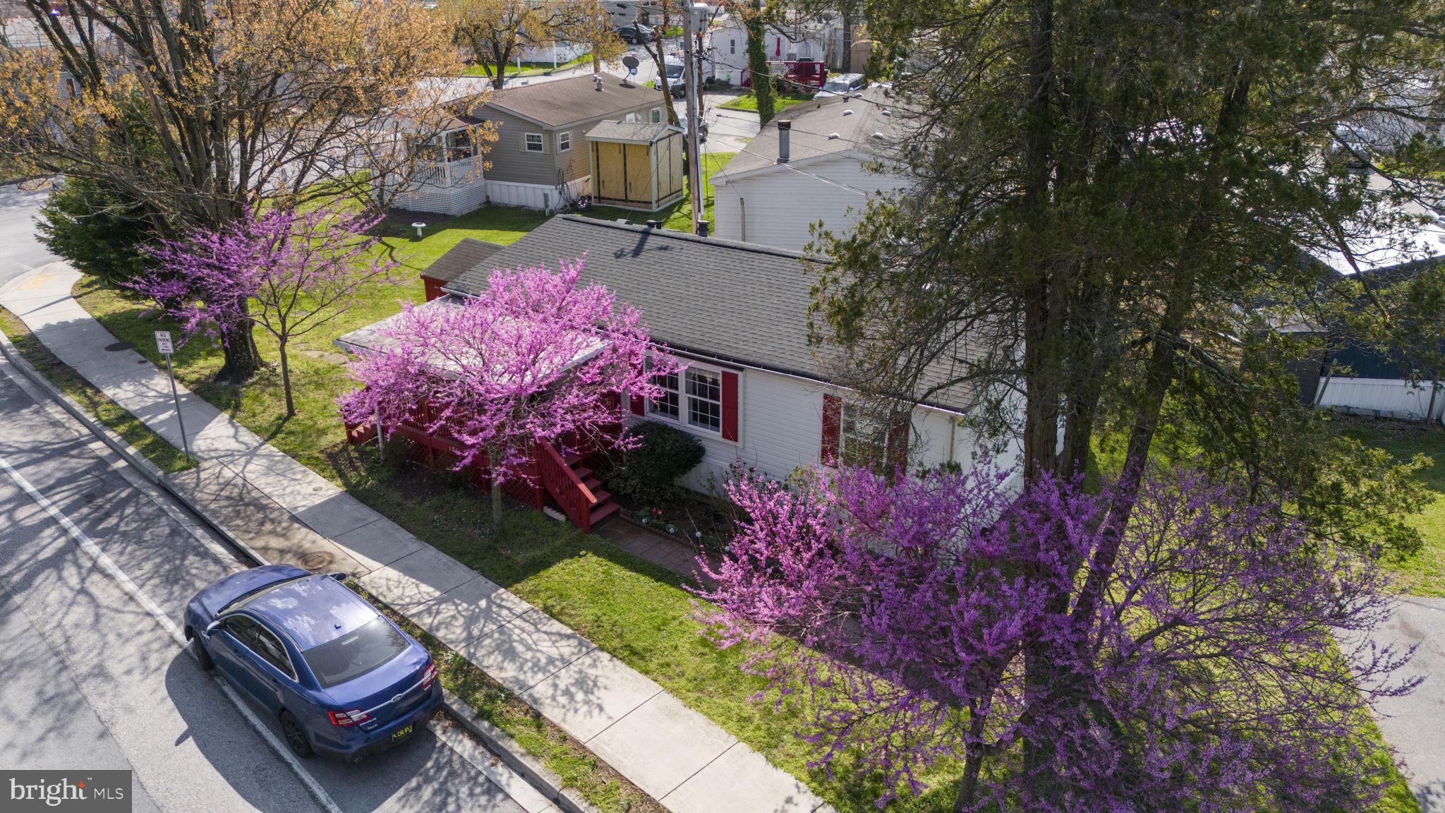 CHESAPEAKE MOBILE COURT - Residential