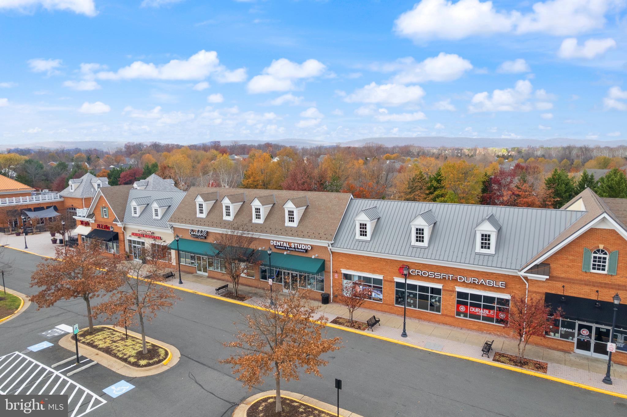 REGENCY AT DOMINION VALLEY - Residential