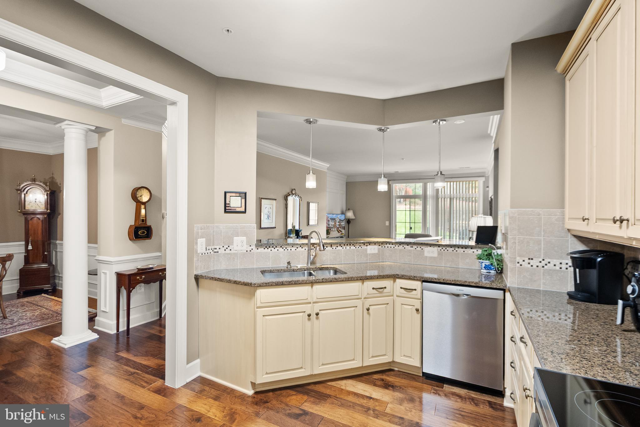 REGENCY AT DOMINION VALLEY - Residential