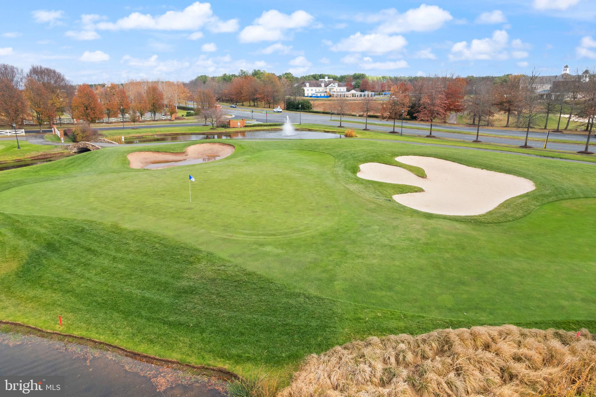 REGENCY AT DOMINION VALLEY - Residential