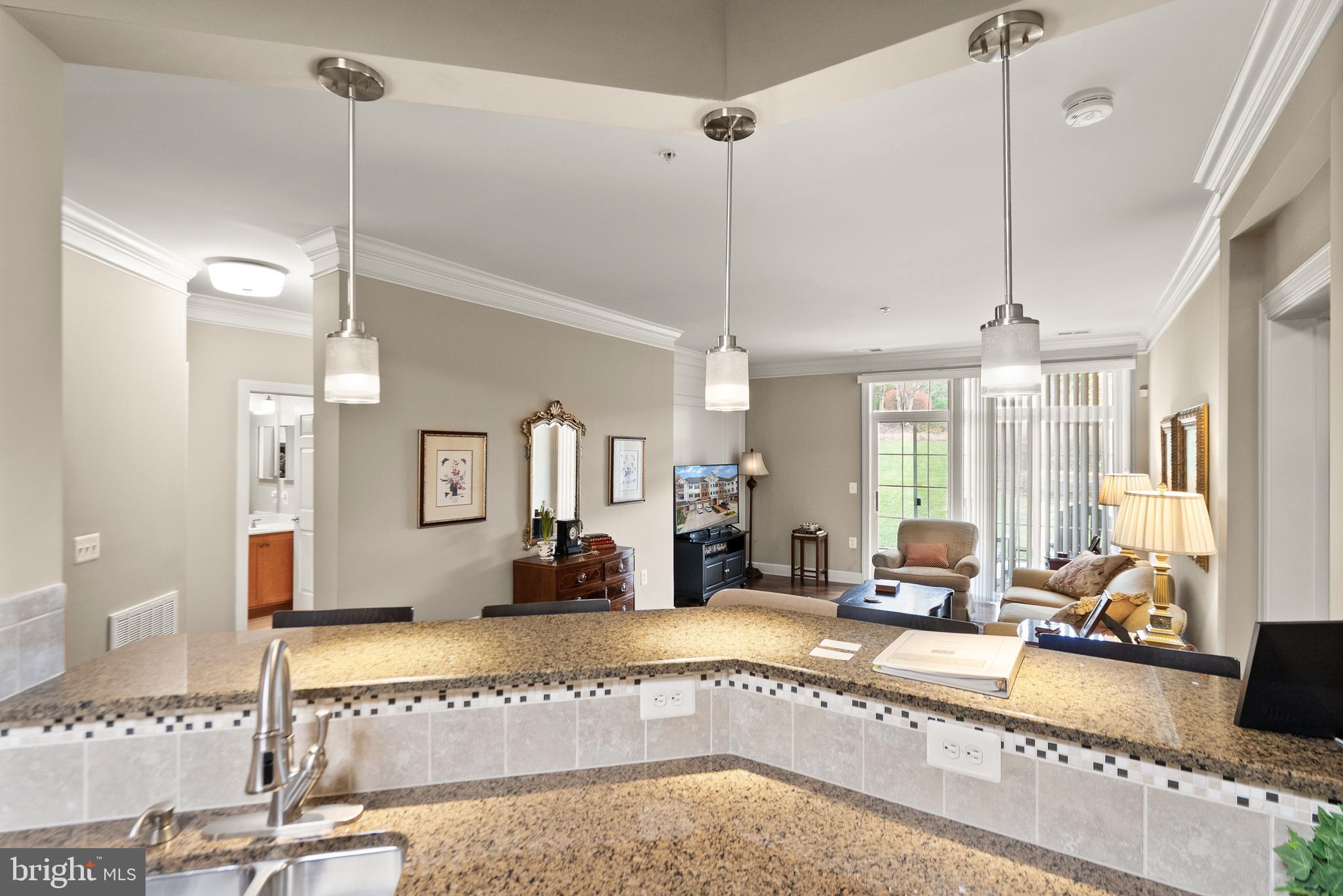 REGENCY AT DOMINION VALLEY - Residential