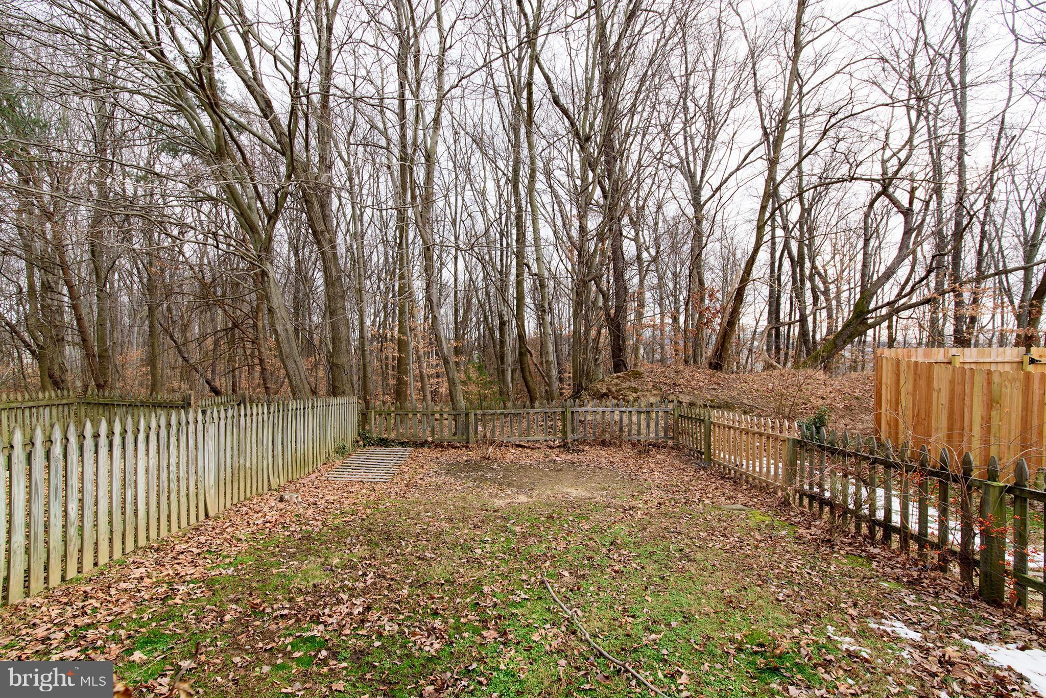 BRISTOL FOREST - Residential Lease