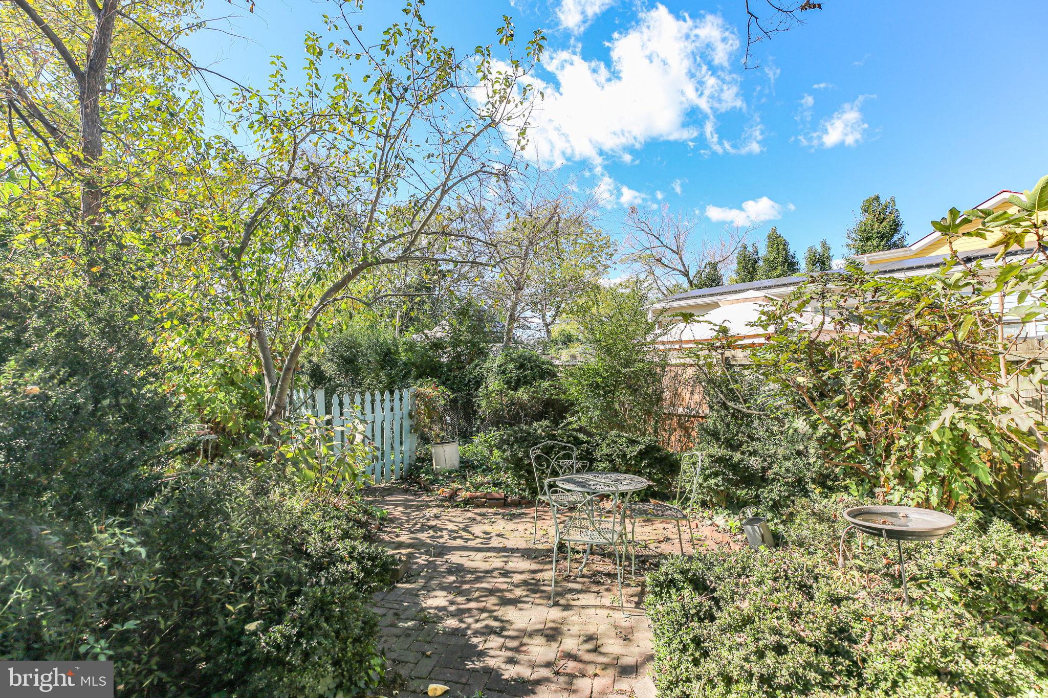 DOWNTOWN FREDERICKSBURG - Residential