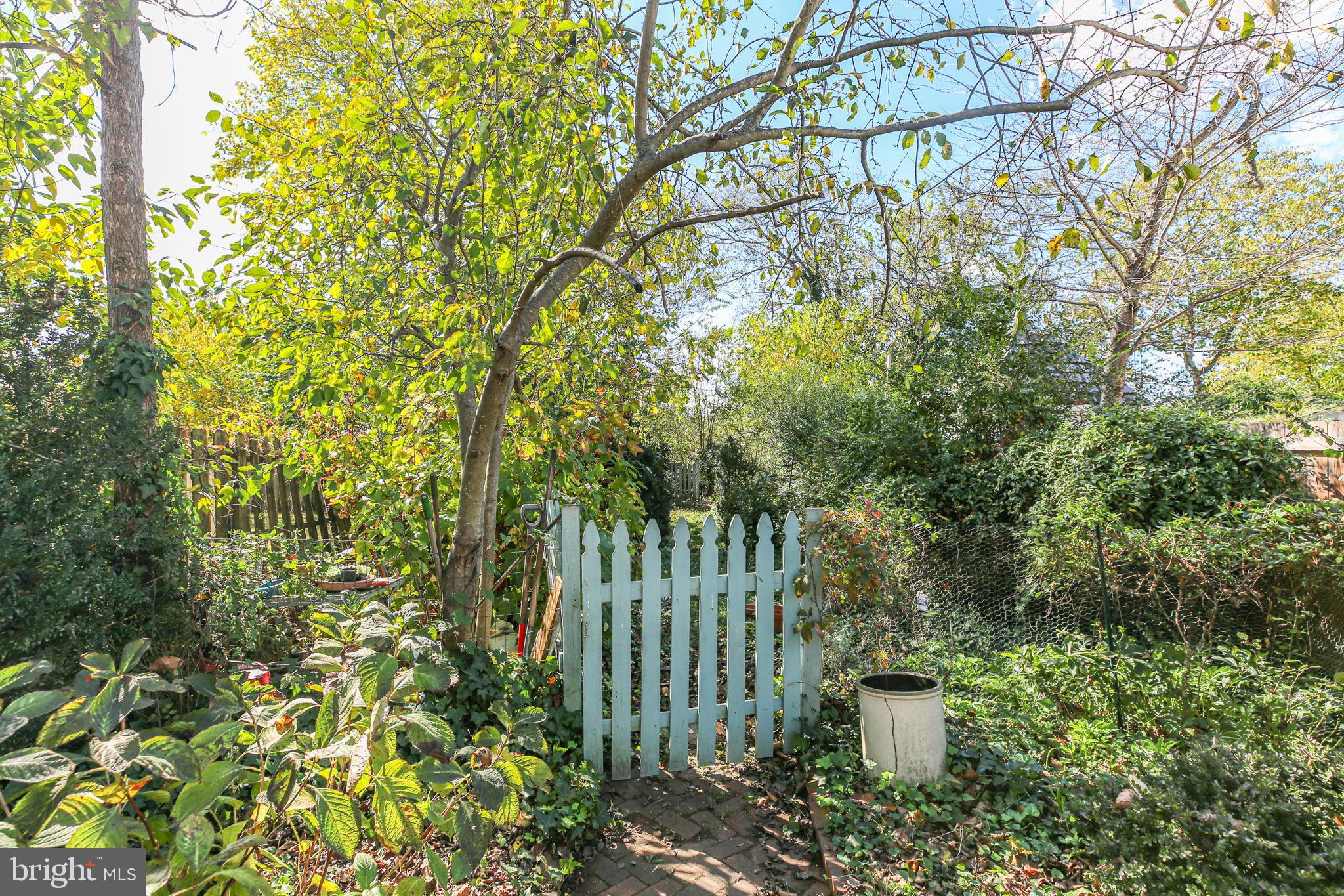 DOWNTOWN FREDERICKSBURG - Residential