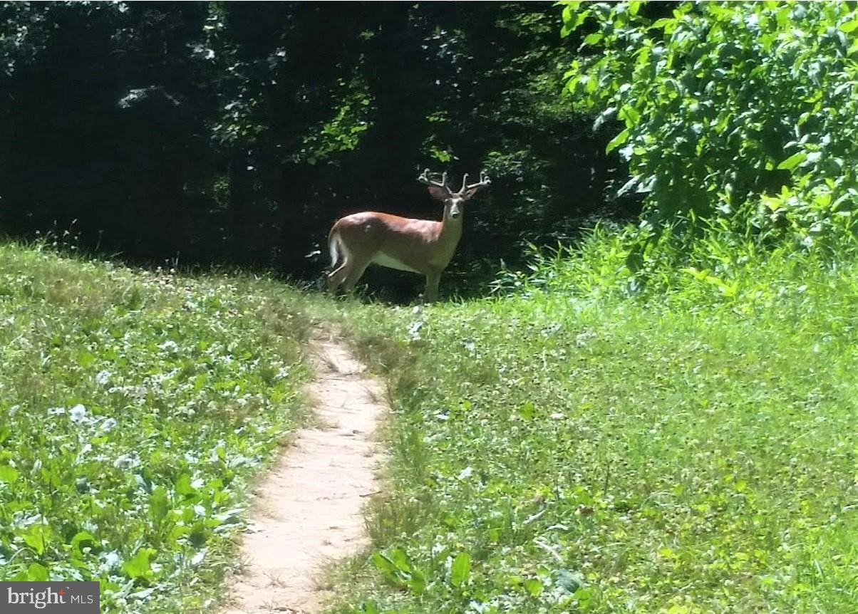 GOLF CLUB MANOR - Land