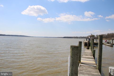 Vacant Land For Sale - Plum Point Road<br/> Cecil County, Elkton, MD 21921